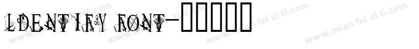 ldentify font字体转换